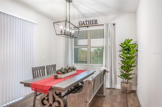 13877 CARLOW PARK DRIVE, Riverview, FL 33579