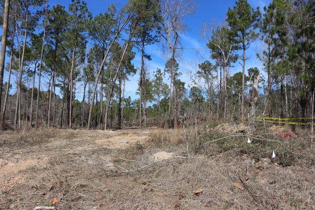 11-2 N Hanson Road, Onalaska, TX 77360