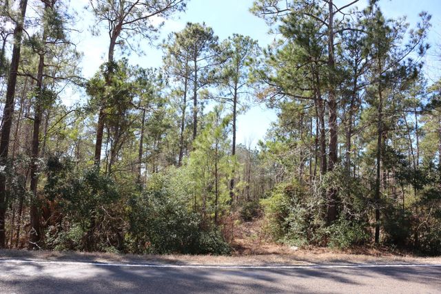 11-2 N Hanson Road, Onalaska, TX 77360
