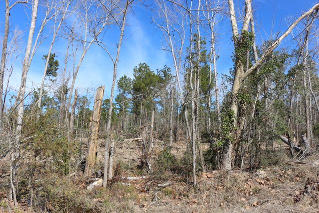 11-2 N Hanson Road, Onalaska, TX 77360