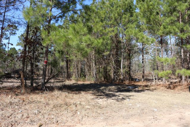 11-2 N Hanson Road, Onalaska, TX 77360