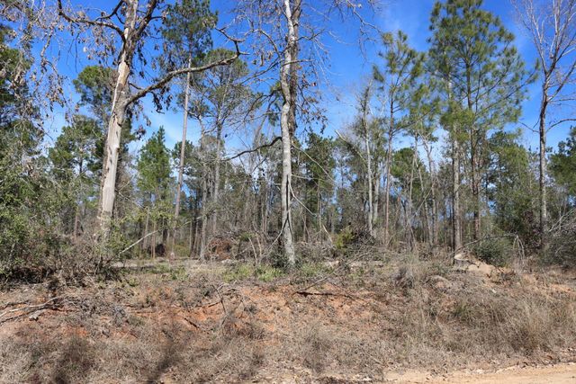 11-2 N Hanson Road, Onalaska, TX 77360