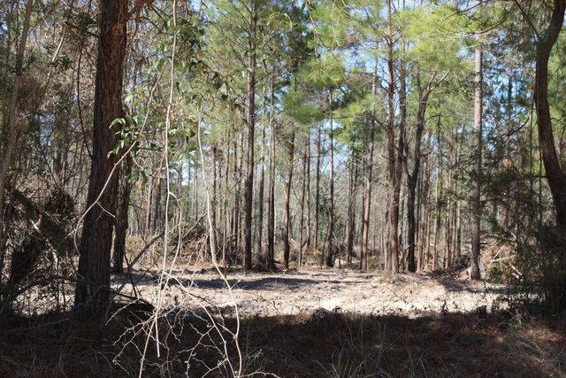 11-2 N Hanson Road, Onalaska, TX 77360