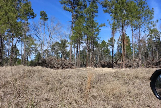 11-2 N Hanson Road, Onalaska, TX 77360