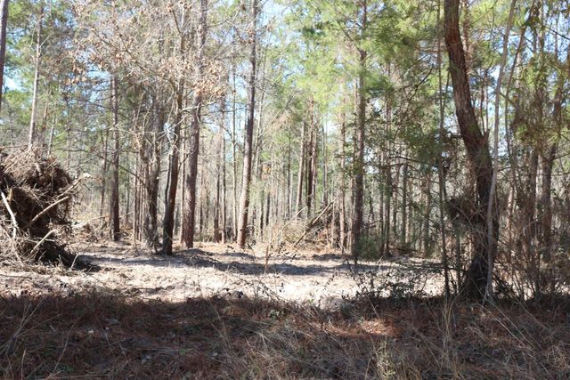 11-2 N Hanson Road, Onalaska, TX 77360