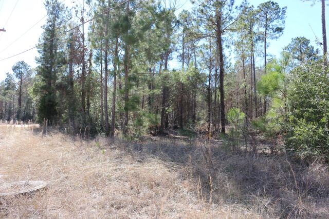 11-2 N Hanson Road, Onalaska, TX 77360