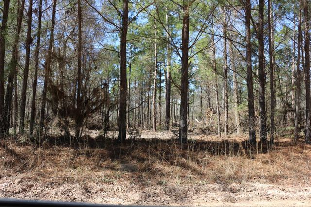 11-2 N Hanson Road, Onalaska, TX 77360