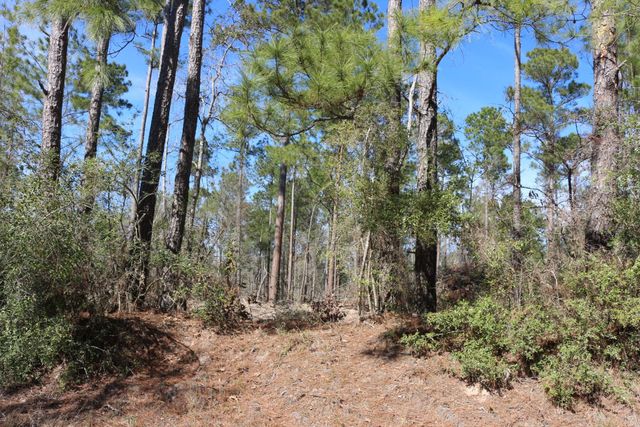 11-2 N Hanson Road, Onalaska, TX 77360
