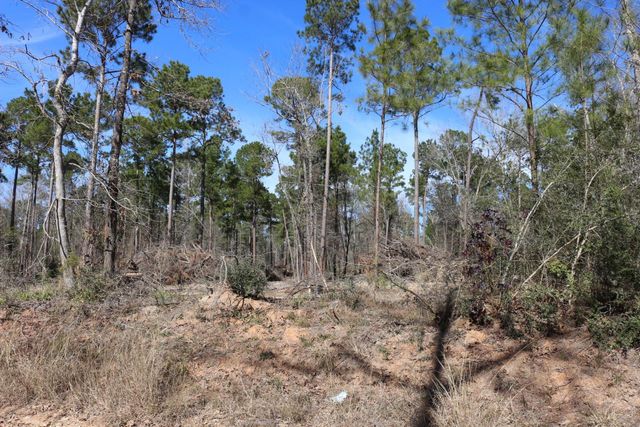 11-2 N Hanson Road, Onalaska, TX 77360