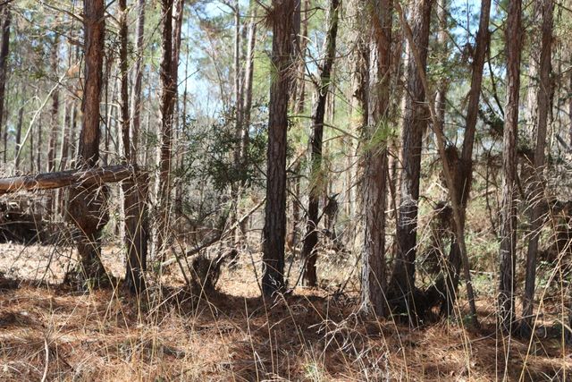 11-2 N Hanson Road, Onalaska, TX 77360