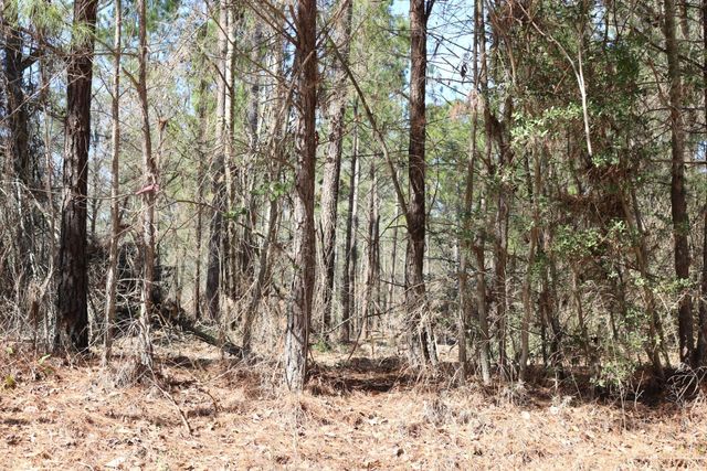 11-2 N Hanson Road, Onalaska, TX 77360