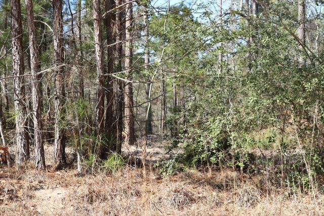 11-2 N Hanson Road, Onalaska, TX 77360