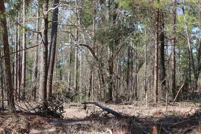 11-2 N Hanson Road, Onalaska, TX 77360