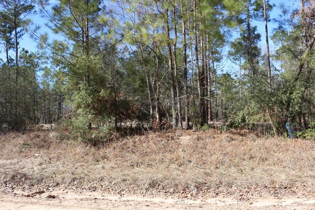 11-2 N Hanson Road, Onalaska, TX 77360