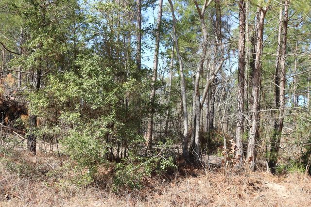 11-2 N Hanson Road, Onalaska, TX 77360