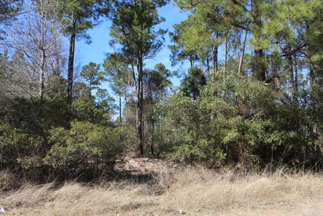 11-2 N Hanson Road, Onalaska, TX 77360