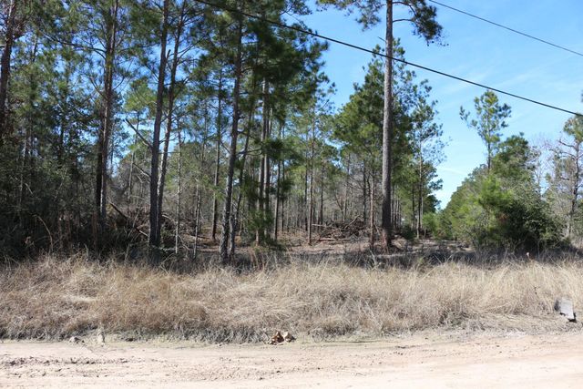 11-2 N Hanson Road, Onalaska, TX 77360