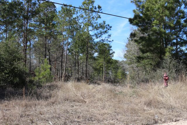 11-2 N Hanson Road, Onalaska, TX 77360