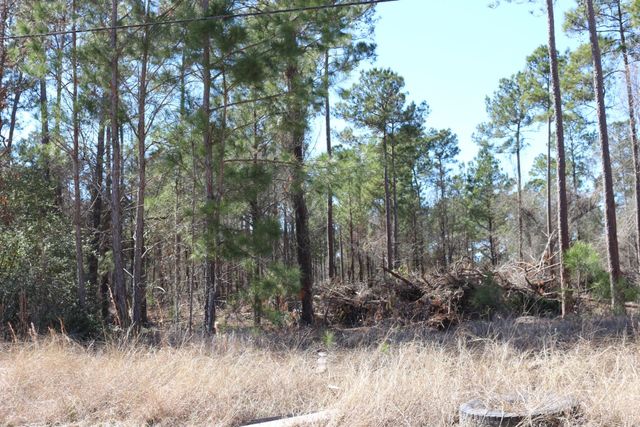 11-2 N Hanson Road, Onalaska, TX 77360