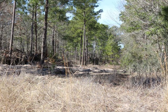 11-2 N Hanson Road, Onalaska, TX 77360
