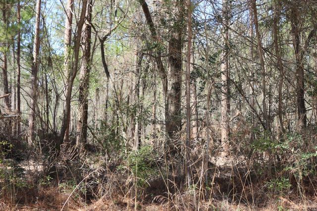 11-2 N Hanson Road, Onalaska, TX 77360