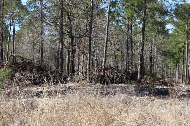 11-2 N Hanson Road, Onalaska, TX 77360