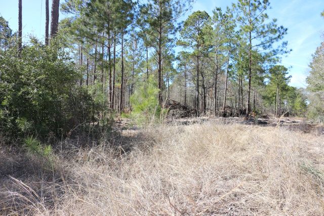 11-2 N Hanson Road, Onalaska, TX 77360