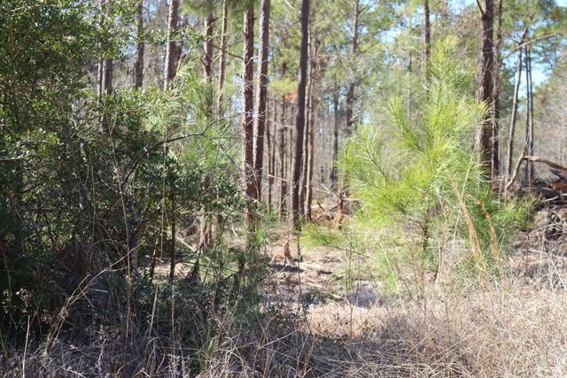 11-2 N Hanson Road, Onalaska, TX 77360