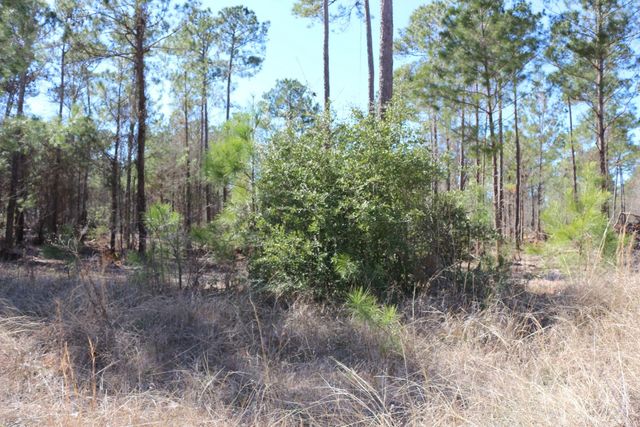 11-2 N Hanson Road, Onalaska, TX 77360