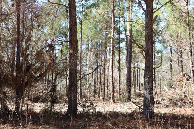 11-2 N Hanson Road, Onalaska, TX 77360