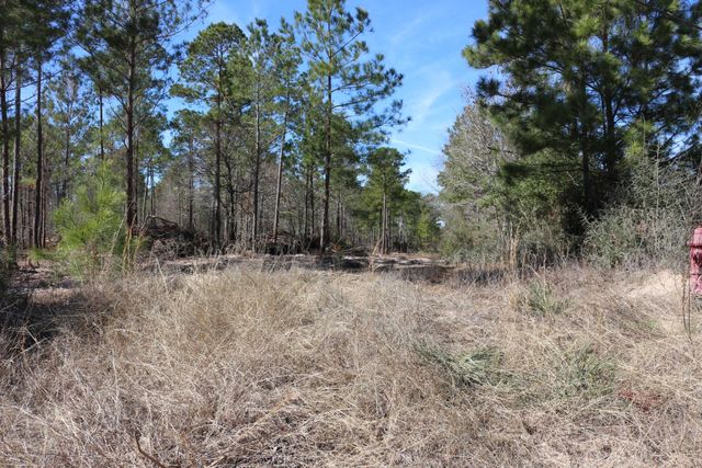 11-2 N Hanson Road, Onalaska, TX 77360