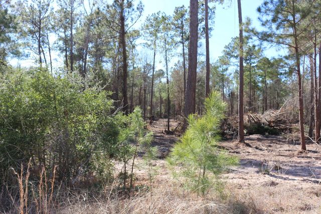 11-2 N Hanson Road, Onalaska, TX 77360