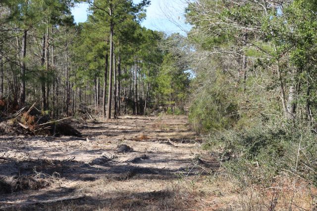 11-2 N Hanson Road, Onalaska, TX 77360