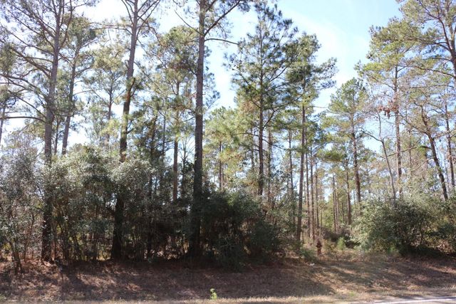 11-2 N Hanson Road, Onalaska, TX 77360