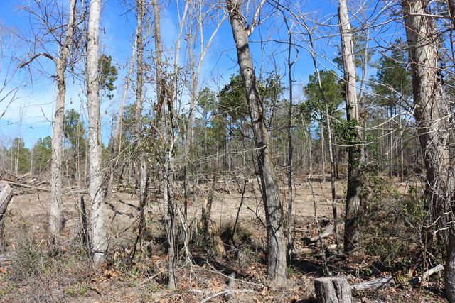 11-2 N Hanson Road, Onalaska, TX 77360