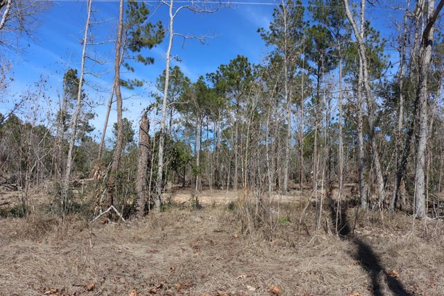11-2 N Hanson Road, Onalaska, TX 77360