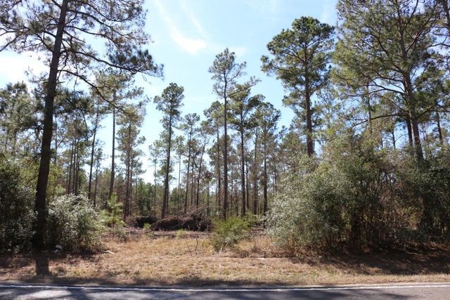 11-2 N Hanson Road, Onalaska, TX 77360