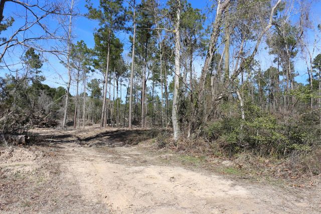 11-2 N Hanson Road, Onalaska, TX 77360