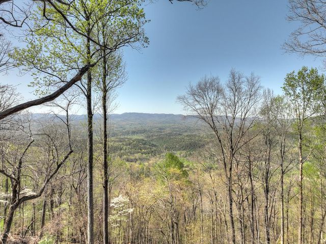 347 Walnut Ridge, Ellijay, GA 30536