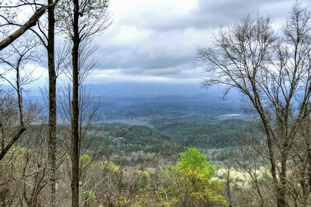 347 Walnut Ridge, Ellijay, GA 30536