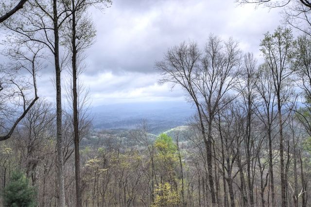 347 Walnut Ridge, Ellijay, GA 30536