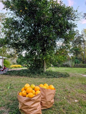 12182 SW STATE ROAD 45, Archer, FL 32618