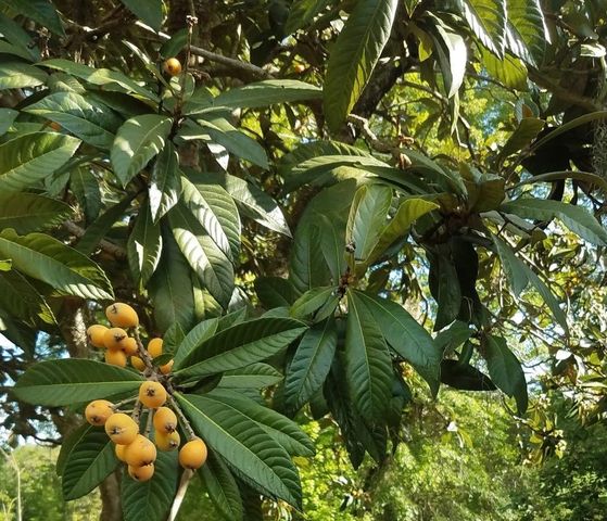 12182 SW STATE ROAD 45, Archer, FL 32618