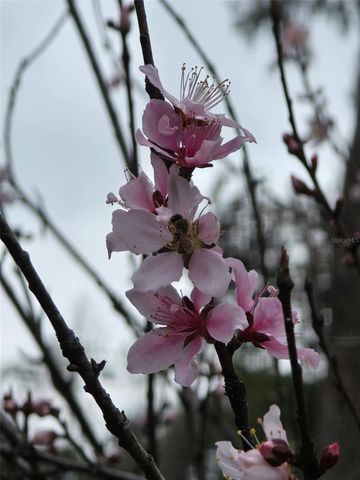 12182 SW STATE ROAD 45, Archer, FL 32618