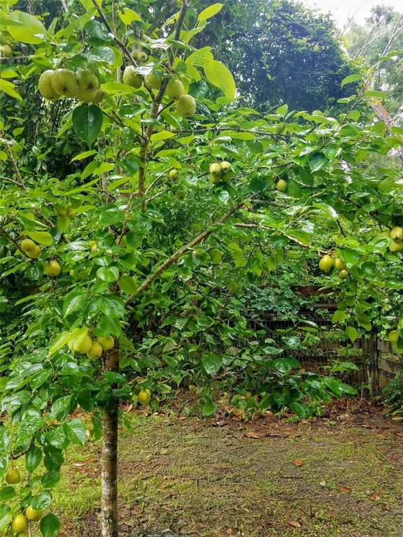 Image 42 of property listing at 12182 SW STATE ROAD 45, Archer, FL 32618