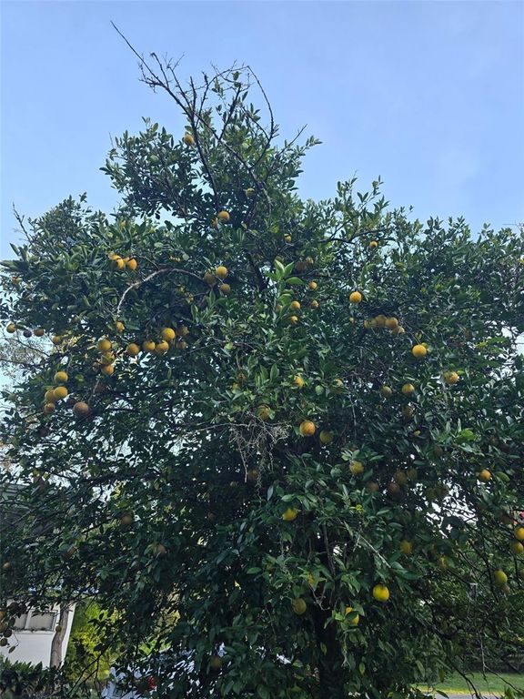 Image 45 of property listing at 12182 SW STATE ROAD 45, Archer, FL 32618