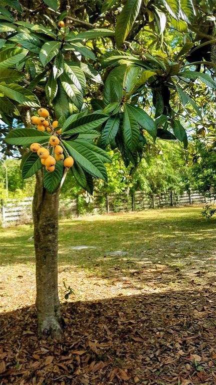 Image 50 of property listing at 12182 SW STATE ROAD 45, Archer, FL 32618