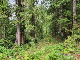 0 Yashi Road, Brinnon, WA 98320