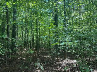 00 Tanner Hall Road, Dawsonville, GA 30534