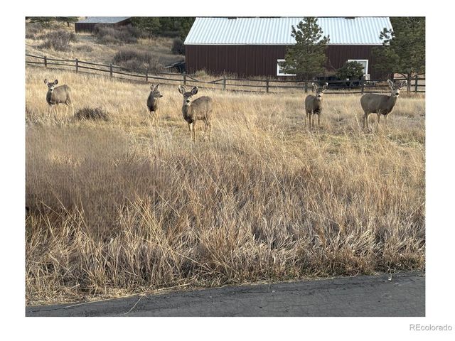 11346 N Canary Ln, Parker, CO 80138